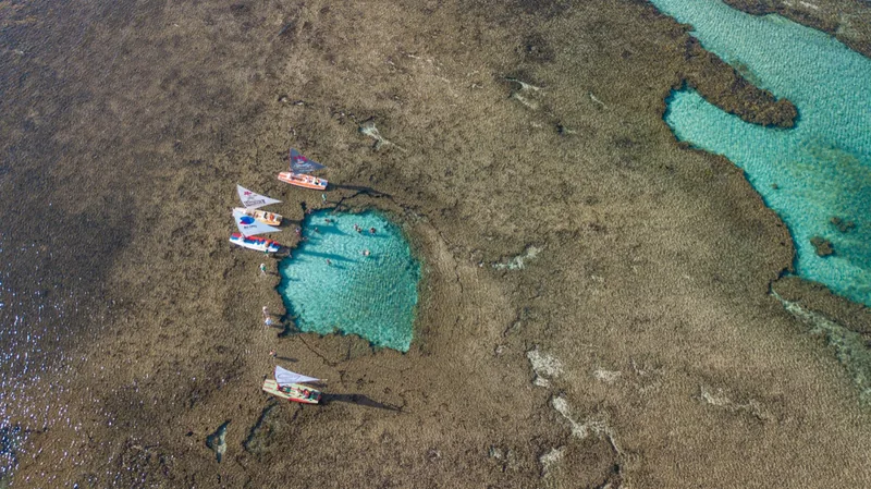 Aerial view of the natural pools of Porto de Galinhas at low tide
